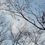 スチール画像「冬の風景」